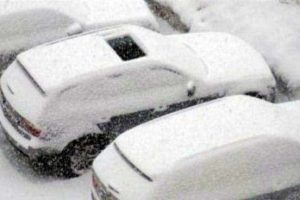 Common Sense Not Found Here (34 photos)