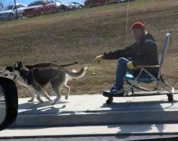 Common Sense Not Found Here (34 photos)