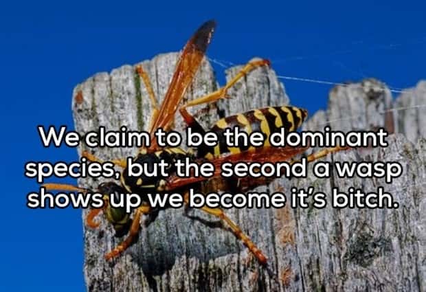 Funny Shower Thoughts That Sound Smart #188 (17 photos)