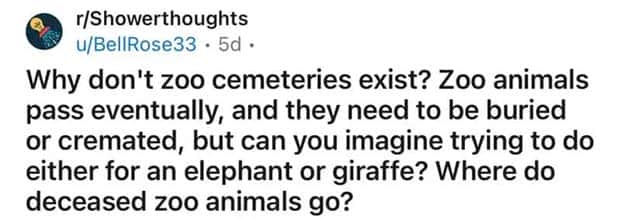 Funny Shower Thoughts That Sound Smart #188 (17 photos)