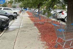 Annoying Situations That Make You Snap (21 photos)