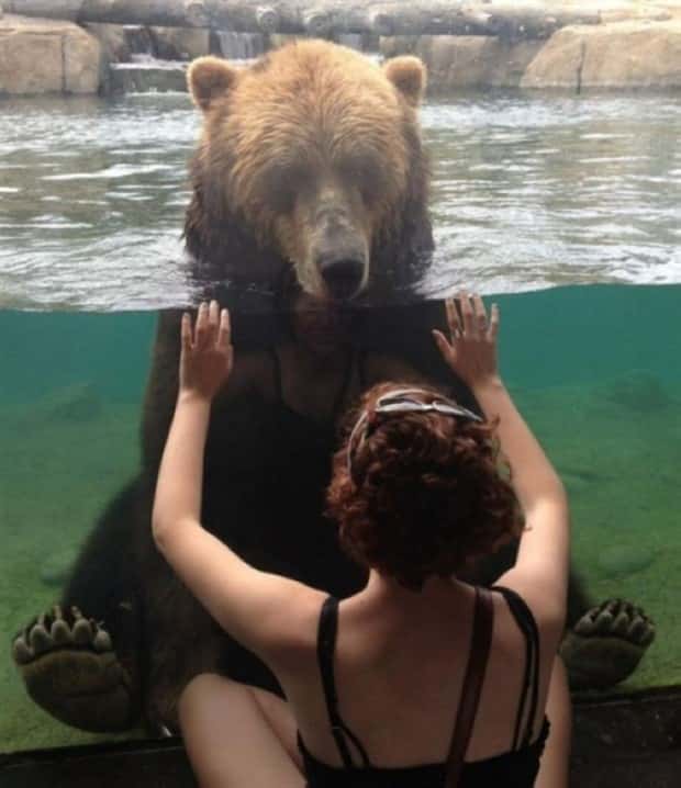 Awesome Pictures You Shouldn’t Miss #188 (25 photos)