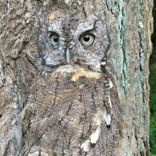 Awesome Pictures You Shouldn’t Miss #187 (20 photos)