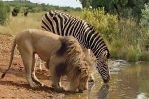 Awesome Pictures You Shouldn’t Miss #188 (25 photos)