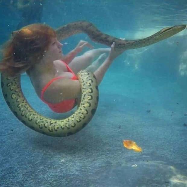 Awesome Pictures You Shouldn’t Miss #188 (25 photos)