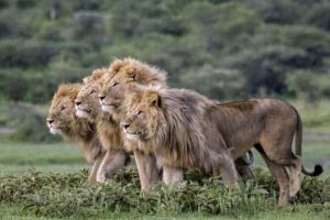 Awesome Pictures You Shouldn’t Miss #186 (24 photos)