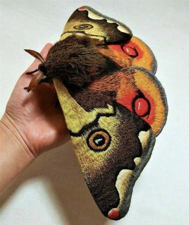 Awesome Pictures You Shouldn’t Miss #186 (24 photos)