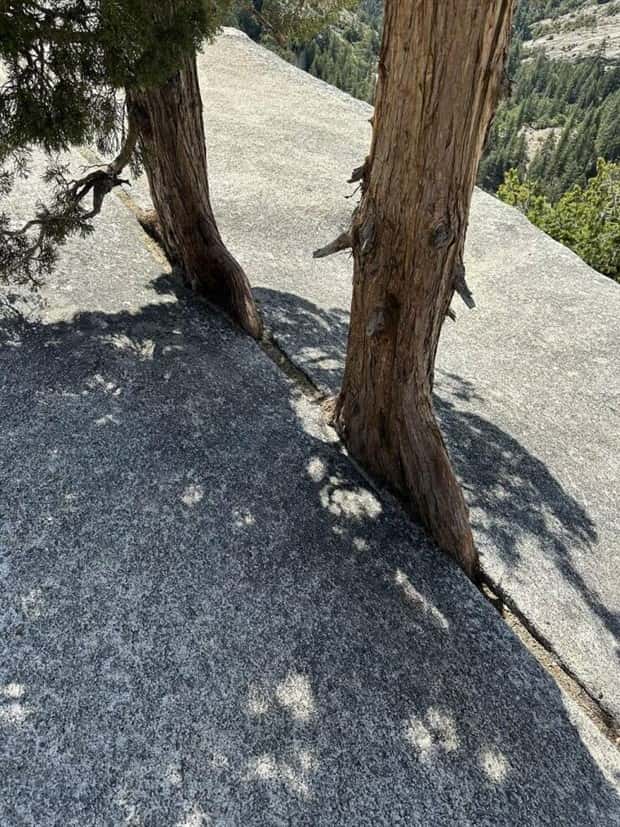 Awesome Pictures You Shouldn’t Miss #187 (20 photos)