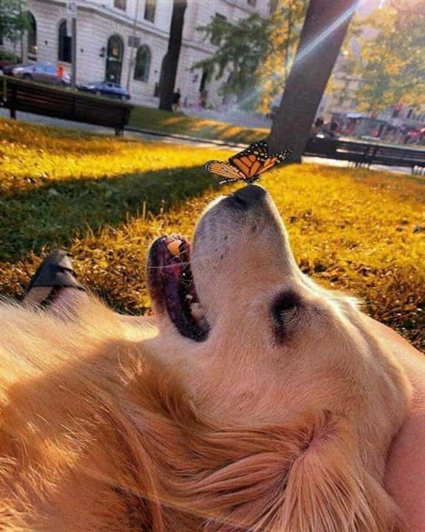 Awesome Pictures You Shouldn’t Miss #189 (23 photos)