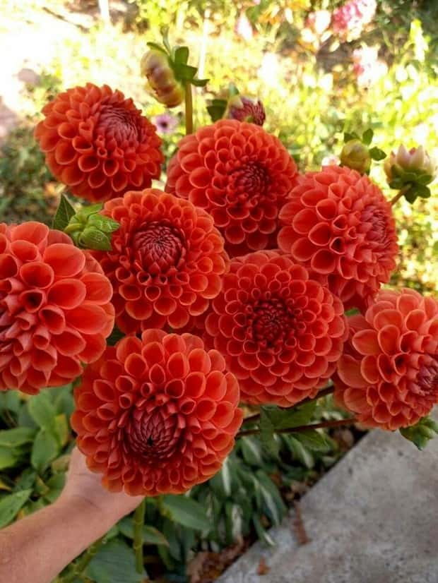 Awesome Pictures You Shouldn’t Miss #186 (24 photos)