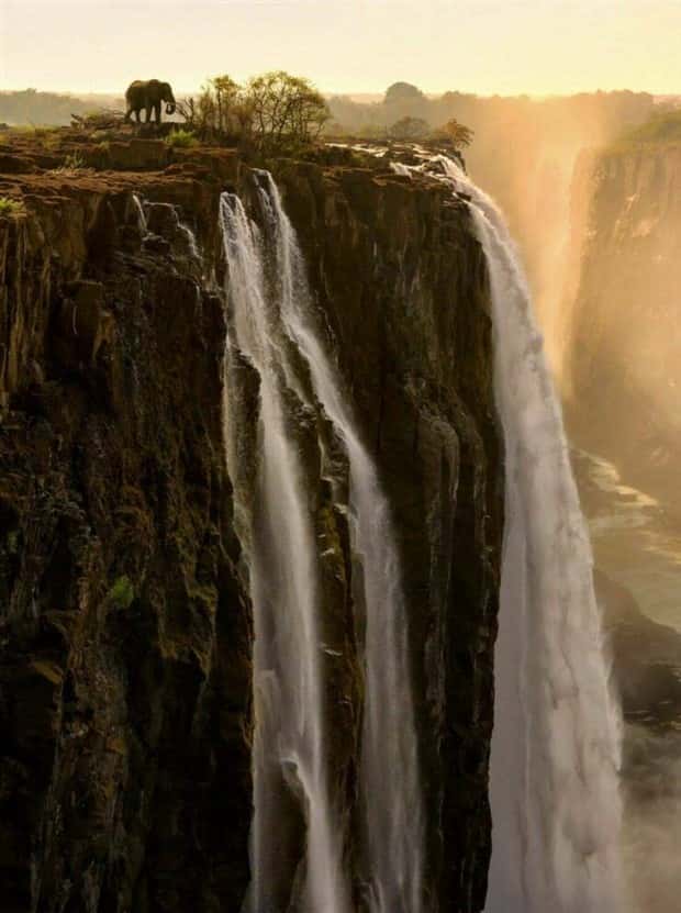 Awesome Pictures You Shouldn’t Miss #187 (20 photos)