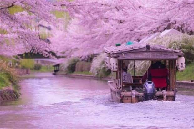 Awesome Pictures You Shouldn’t Miss #188 (25 photos)