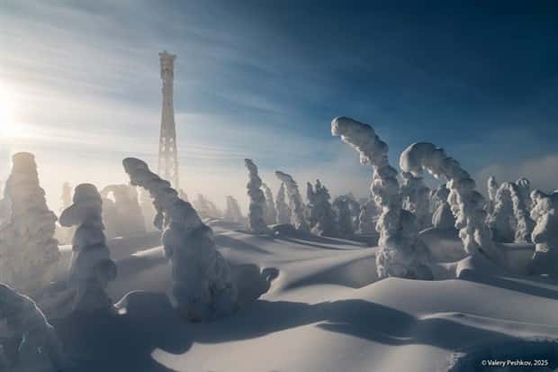 Awesome Pictures You Shouldn’t Miss #188 (25 photos)