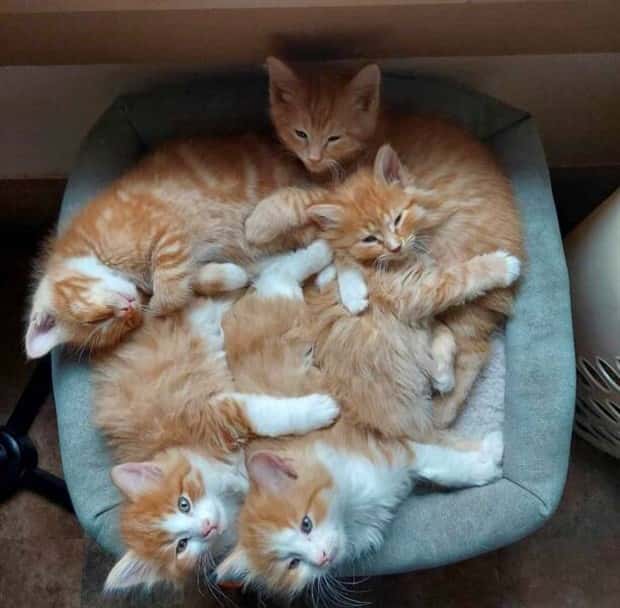 Awesome Pictures You Shouldn’t Miss #186 (24 photos)