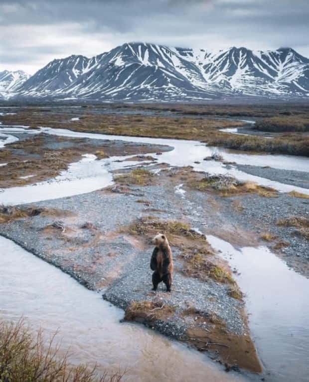 Awesome Pictures You Shouldn’t Miss #188 (25 photos)