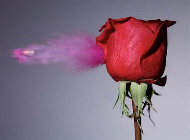 23 Stills of Bullets Penetrating Items (23 photos)