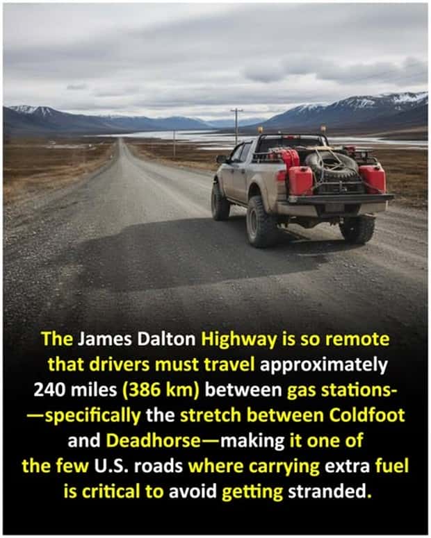 Cool and Interesting Facts #466 (23 photos)