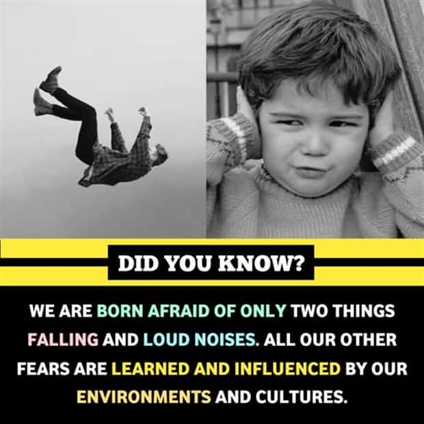 Cool and Interesting Facts #466 (23 photos)