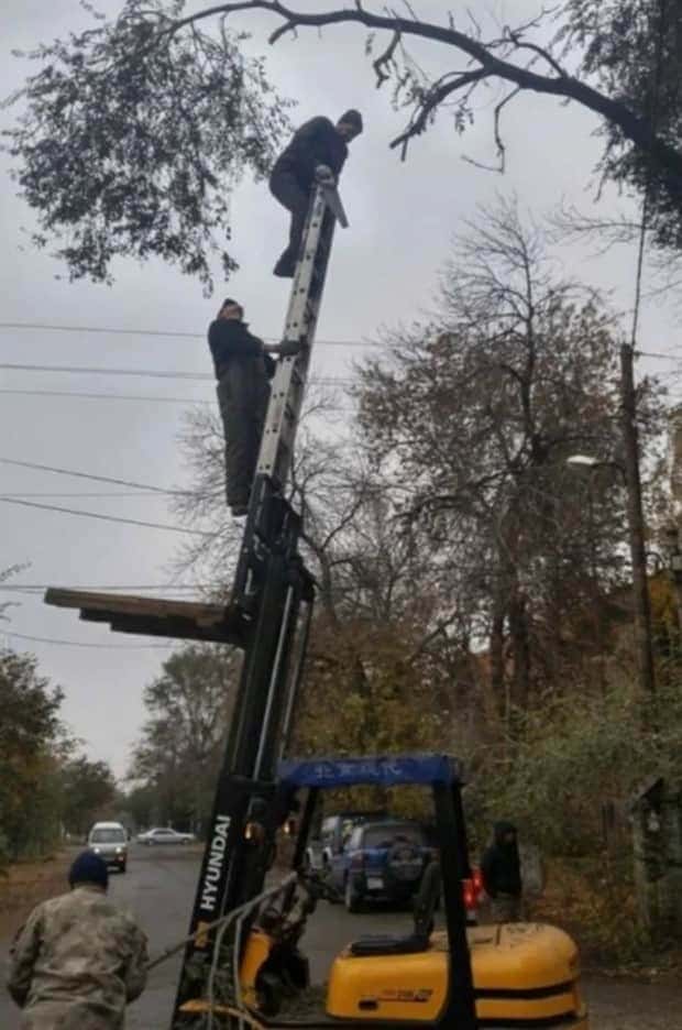 dumb people 11 24 Representatives of the Dumb People Society (24 photos)