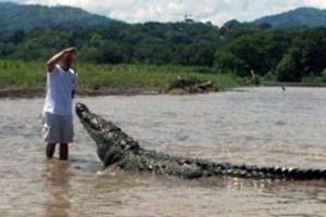 24 Representatives of the Dumb People Society (24 photos)