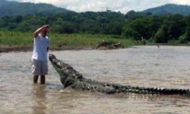 dumb people 22 24 Representatives of the Dumb People Society (24 photos)