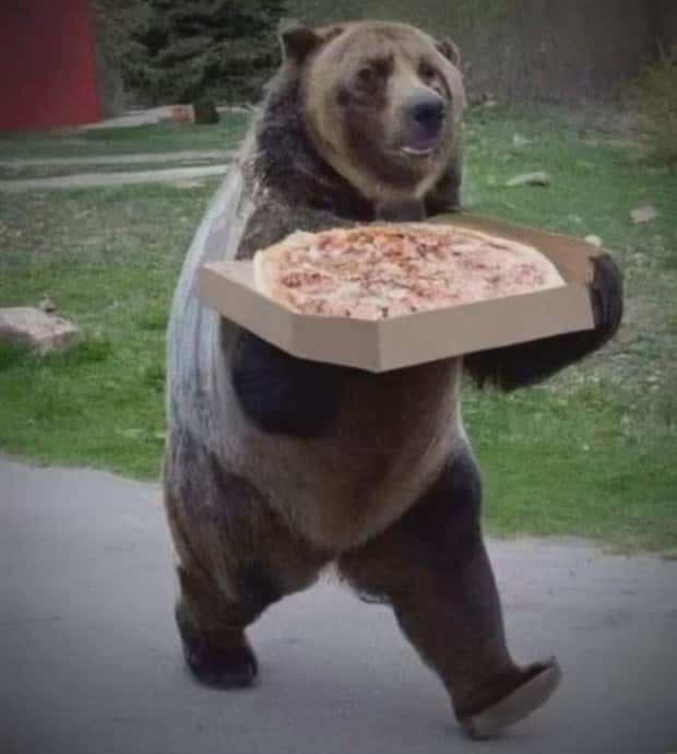 Get Ready for Funny Animals #423 (25 photos)