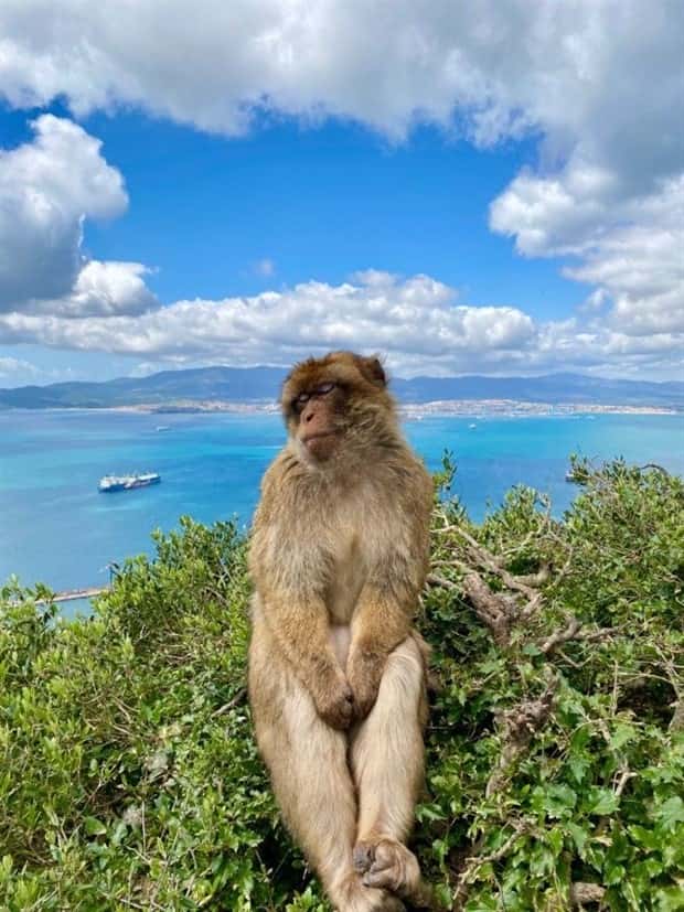 Get Ready for Funny Animals #423 (25 photos)