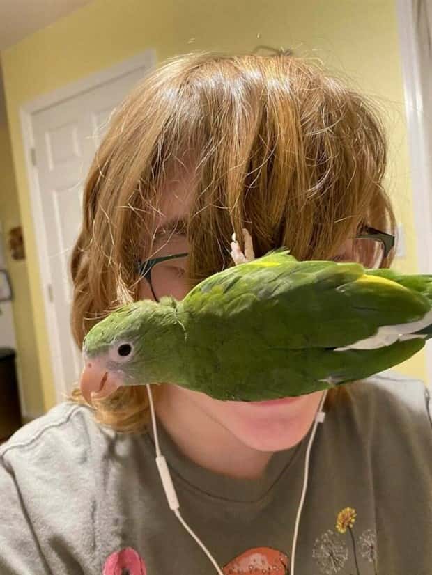 Get Ready for Funny Animals #420 (24 photos)