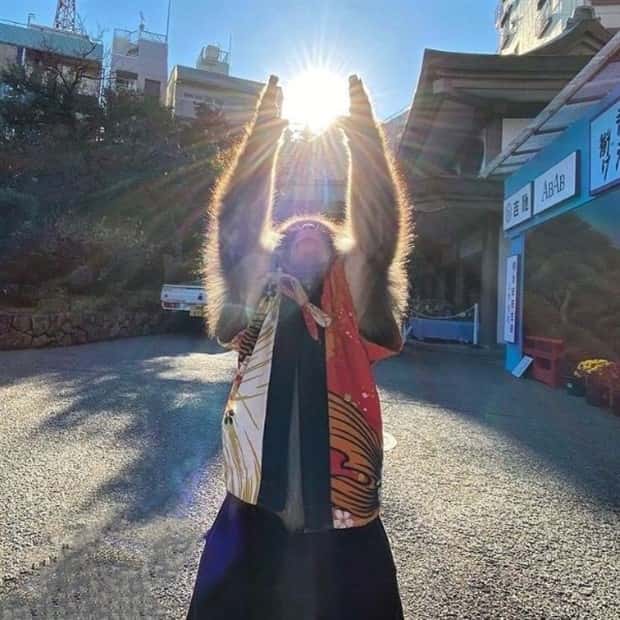 Get Ready for Funny Animals #423 (25 photos)