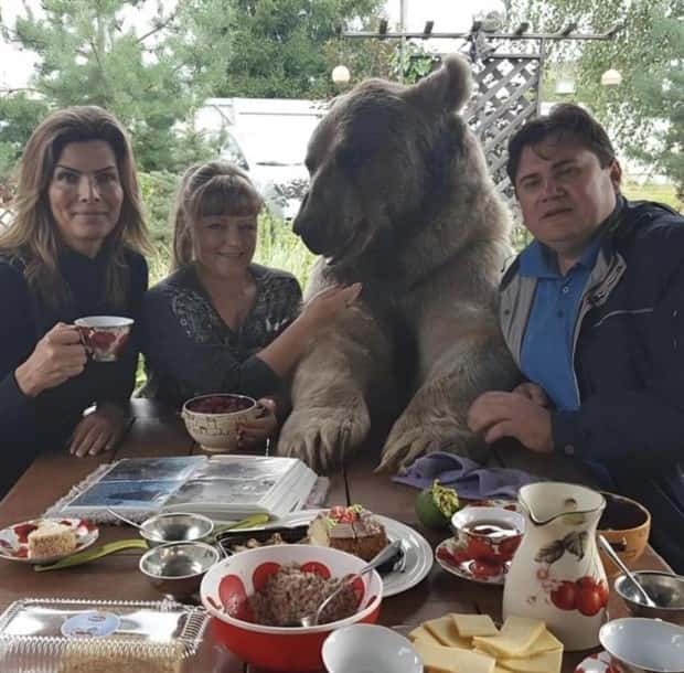 Get Ready for Funny Animals #423 (25 photos)