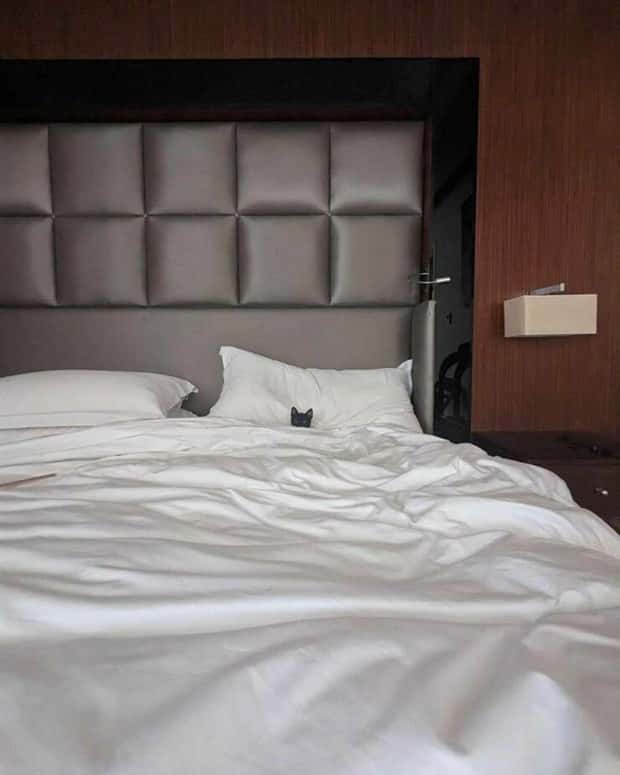 Get Ready for Funny Animals #420 (24 photos)