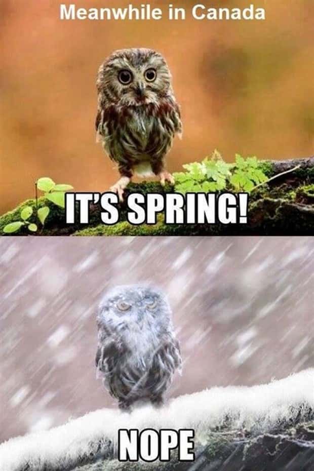 Canada Proves Normal Is Wildly Overrated (26 photos)