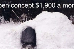 Canada Proves Normal Is Wildly Overrated (26 photos)