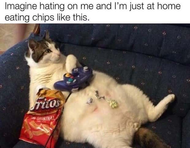 Funny Pics and Memes to Make You Laugh #189 (24 photos)