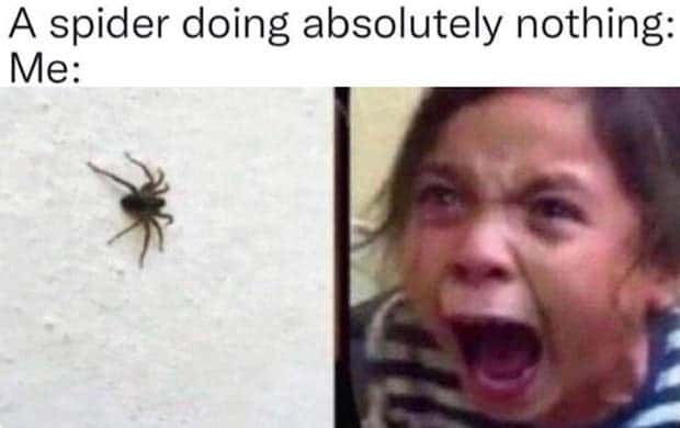 Funny Pics and Memes to Make You Laugh #191 (21 photos)