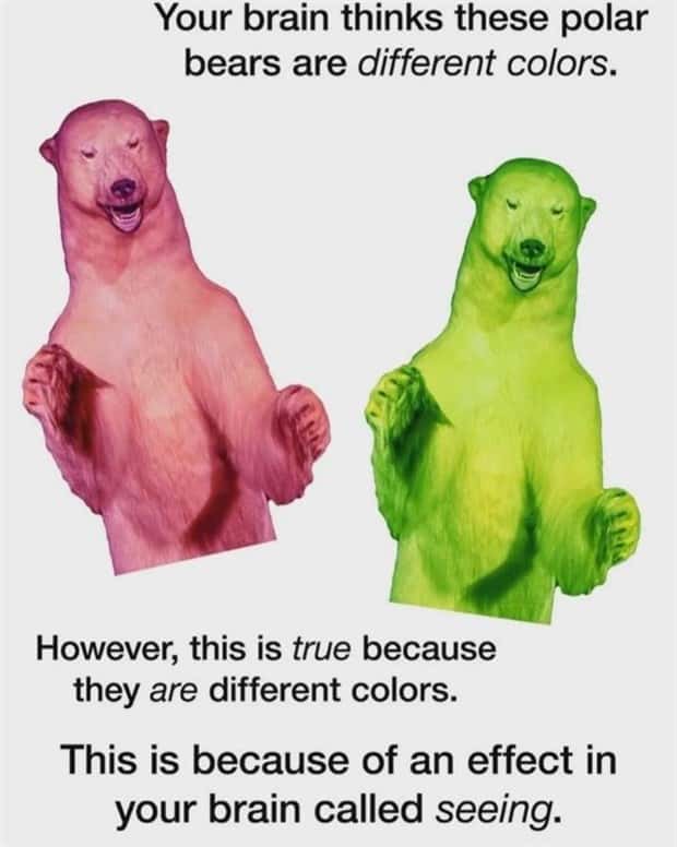 Funny Pics and Memes to Make You Laugh #191 (21 photos)