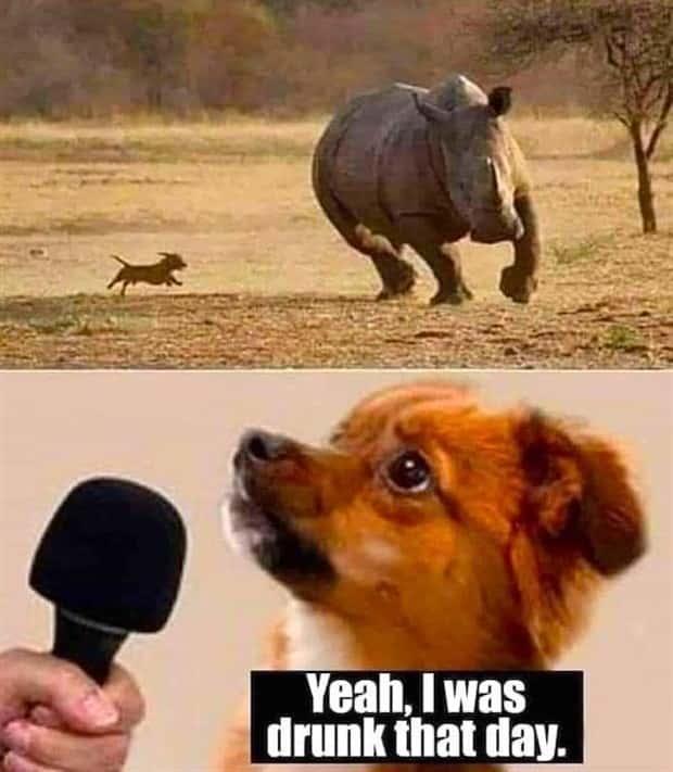 Funny Pics and Memes to Make You Laugh #189 (24 photos)