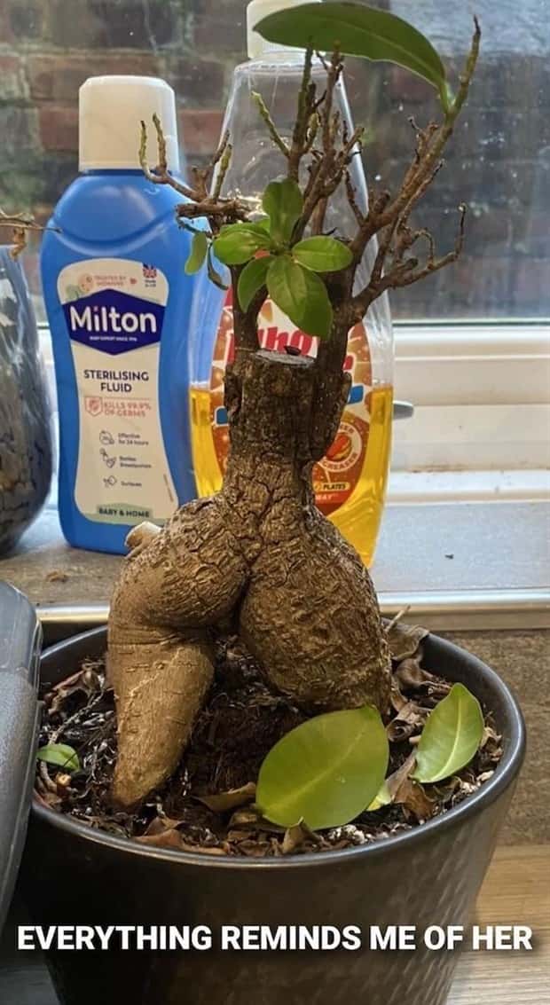 Funny Pics and Memes to Make You Laugh #189 (24 photos)