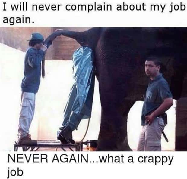 Funny Pics and Memes to Make You Laugh #191 (21 photos)