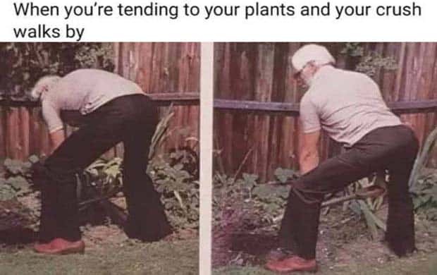 funny memes and pics 17 1 Funny Pics and Memes to Make You Laugh #190 (17 photos)