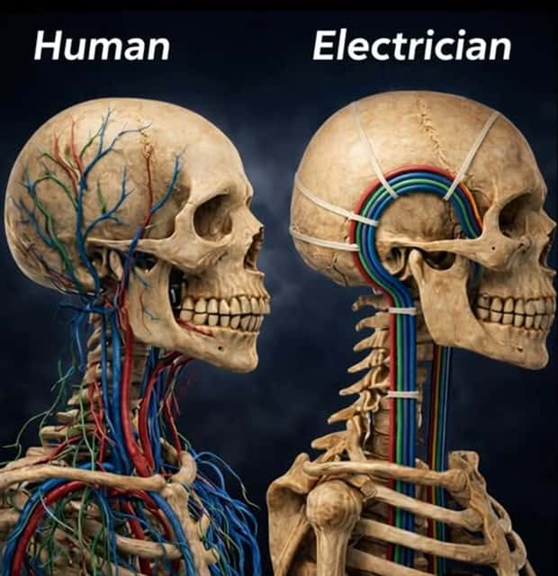 funny memes and pics 5 Funny Pics and Memes to Make You Laugh #188 (18 photos)