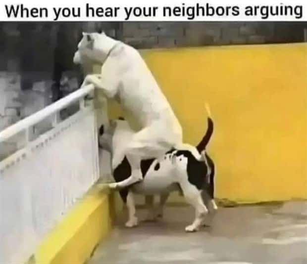 funny memes and pics 7 Funny Pics and Memes to Make You Laugh #188 (18 photos)