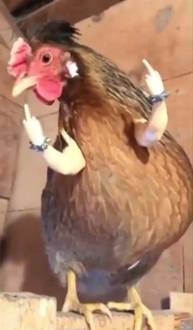 Klyker Picdump #1896 (41 photos)