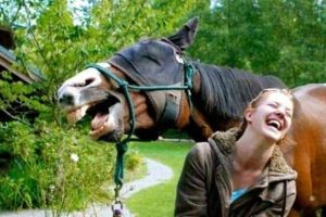 Klyker Picdump #1896 (41 photos)