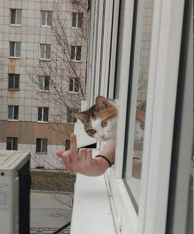 Klyker Picdump #1896 (41 photos)