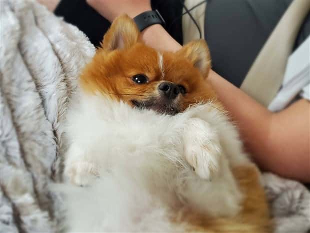 Klyker Picdump #1896 (41 photos)