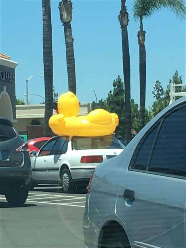 Klyker Picdump #1896 (41 photos)