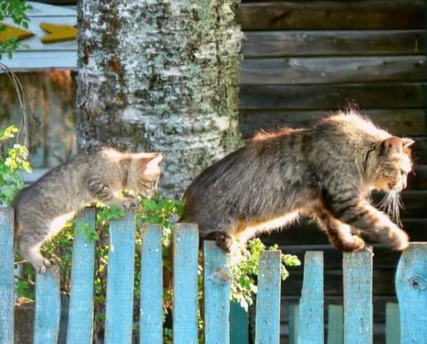 Klyker Picdump #1898 (43 photos)