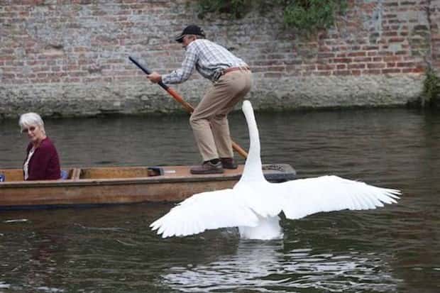 klyker picdump 1 15 2026 15 Klyker Picdump #1899 (44 photos)
