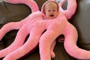 Klyker Picdump #1902 (42 photos)